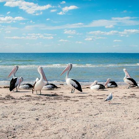 Bellarine Bayside Portarlington Otel Dış mekan fotoğraf